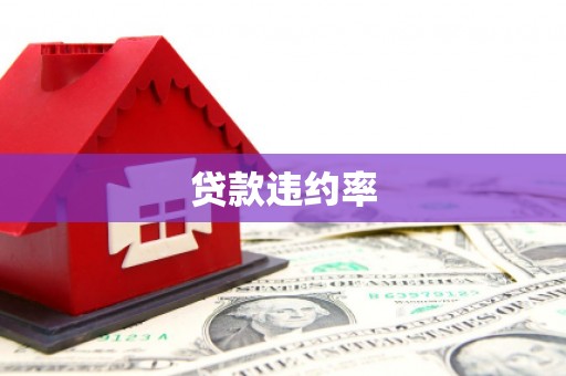 海晏贷款违约率