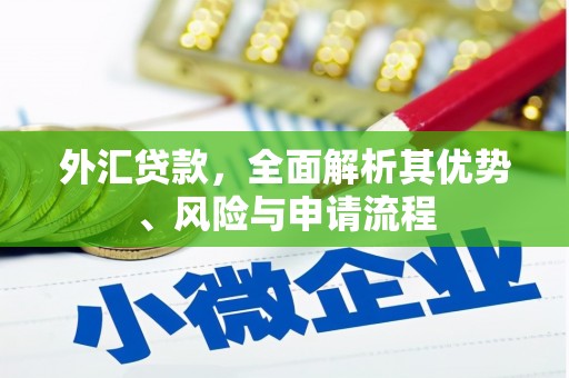 海晏外汇贷款，全面解析其优势、风险与申请流程