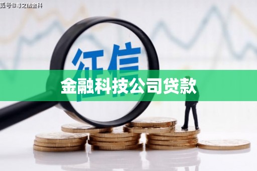 海晏金融科技公司贷款
