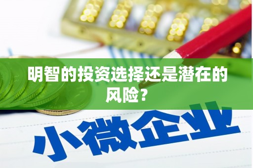 海晏明智的投资选择还是潜在的风险？