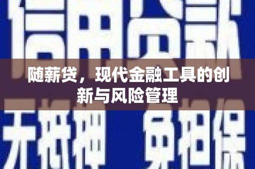 海晏随薪贷，现代金融工具的创新与风险管理