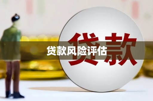海晏贷款风险评估