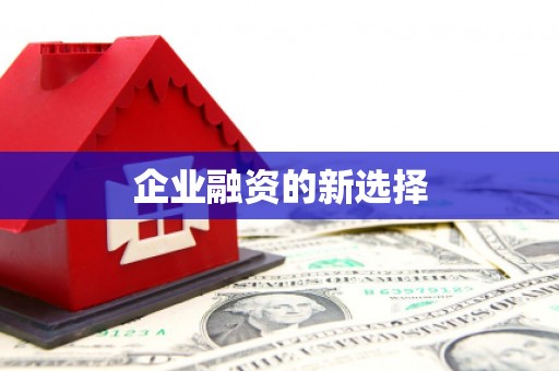 海晏企业融资的新选择