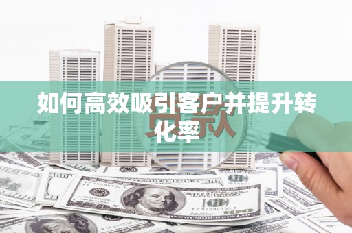 海晏如何高效吸引客户并提升转化率
