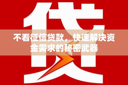 海晏不看征信贷款，快速解决资金需求的秘密武器