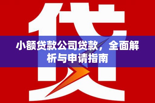 海晏小额贷款公司贷款，全面解析与申请指南
