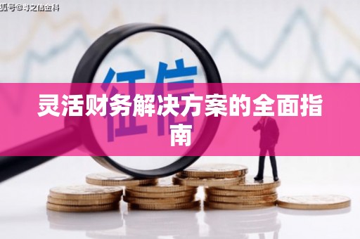 海晏灵活财务解决方案的全面指南