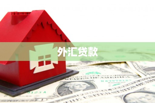 海晏外汇贷款