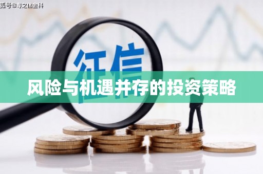 海晏风险与机遇并存的投资策略