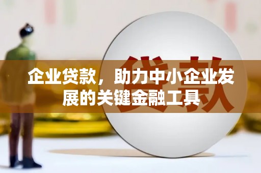 海晏企业贷款，助力中小企业发展的关键金融工具