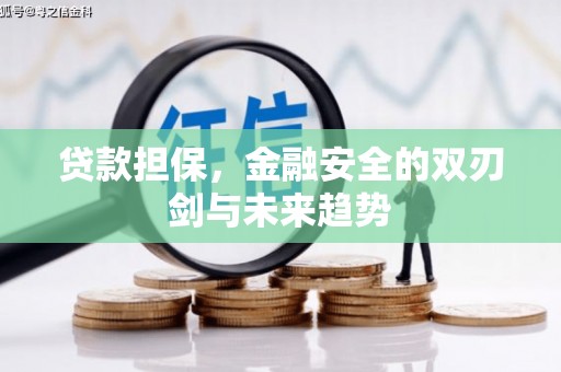 海晏贷款担保，金融安全的双刃剑与未来趋势