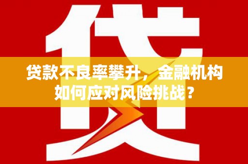 海晏贷款不良率攀升，金融机构如何应对风险挑战？
