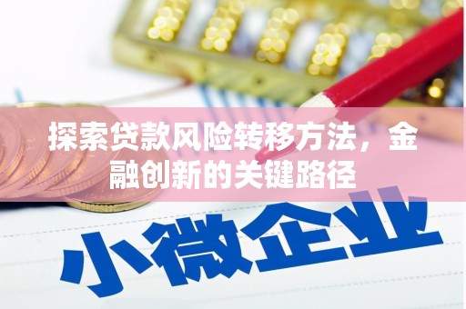 海晏探索贷款风险转移方法，金融创新的关键路径