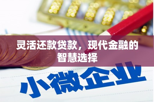 海晏灵活还款贷款，现代金融的智慧选择