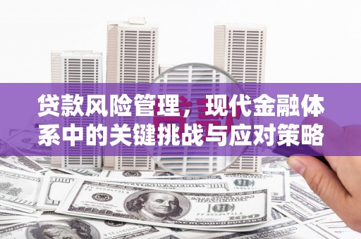 海晏贷款风险管理，现代金融体系中的关键挑战与应对策略