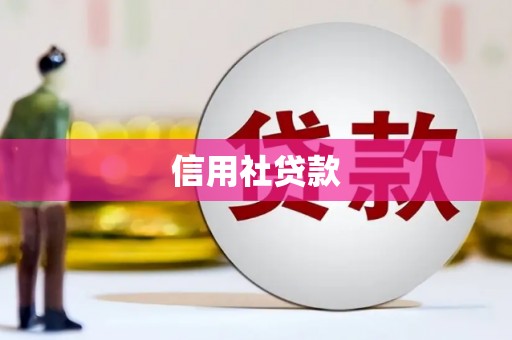 海晏信用社贷款