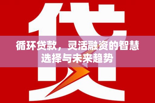 海晏循环贷款，灵活融资的智慧选择与未来趋势