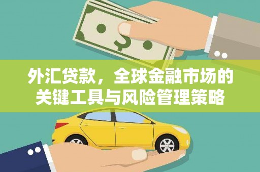 海晏外汇贷款，全球金融市场的关键工具与风险管理策略