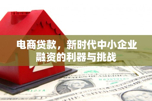 海晏电商贷款，新时代中小企业融资的利器与挑战