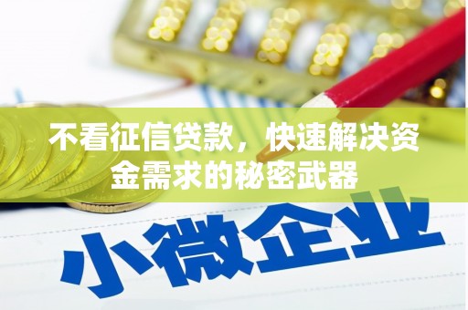 海晏不看征信贷款，快速解决资金需求的秘密武器