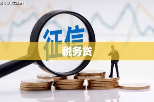 海晏税务贷