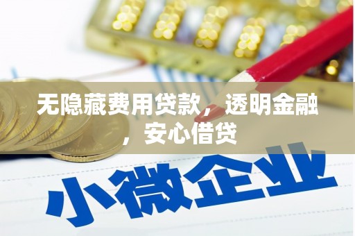 海晏无隐藏费用贷款，透明金融，安心借贷