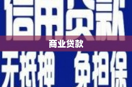 海晏商业贷款
