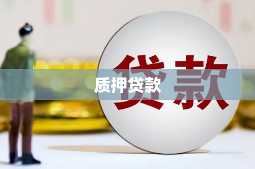 海晏质押贷款