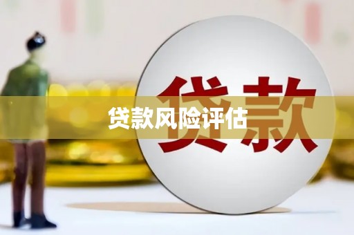 海晏贷款风险评估