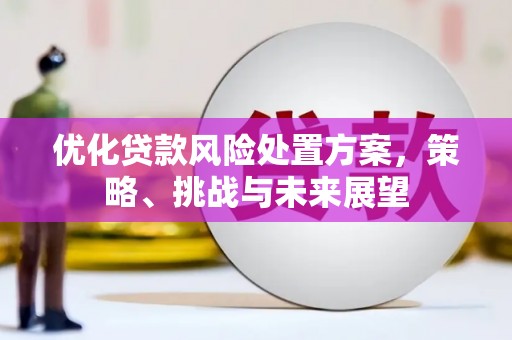 海晏优化贷款风险处置方案，策略、挑战与未来展望