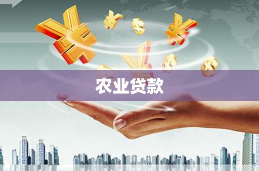 海晏农业贷款