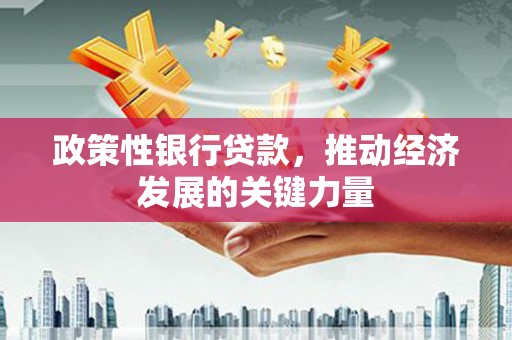 海晏政策性银行贷款，推动经济发展的关键力量