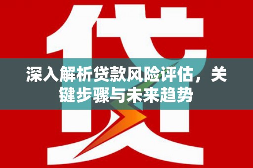 海晏深入解析贷款风险评估，关键步骤与未来趋势