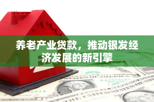 海晏养老产业贷款，推动银发经济发展的新引擎