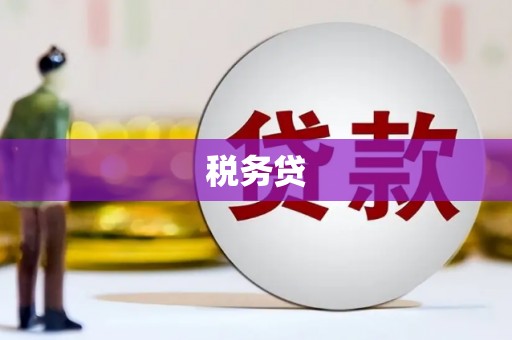 海晏税务贷