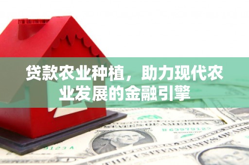 海晏贷款农业种植，助力现代农业发展的金融引擎