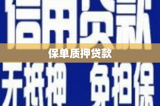 海晏保单质押贷款