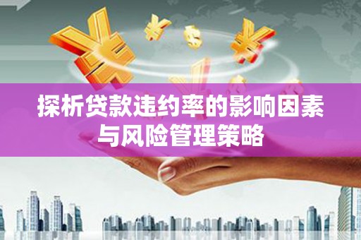 海晏探析贷款违约率的影响因素与风险管理策略