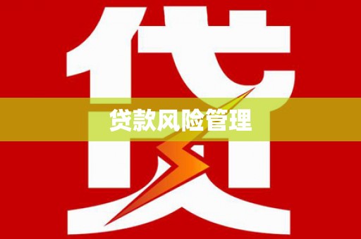 海晏贷款风险管理
