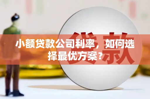 海晏小额贷款公司利率，如何选择最优方案？