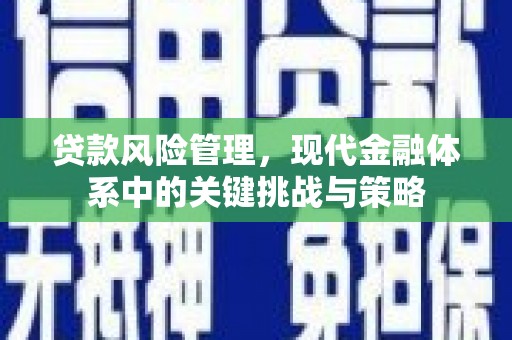 海晏贷款风险管理，现代金融体系中的关键挑战与策略