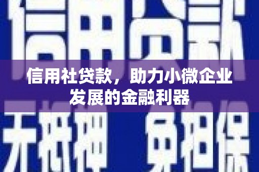 海晏信用社贷款，助力小微企业发展的金融利器