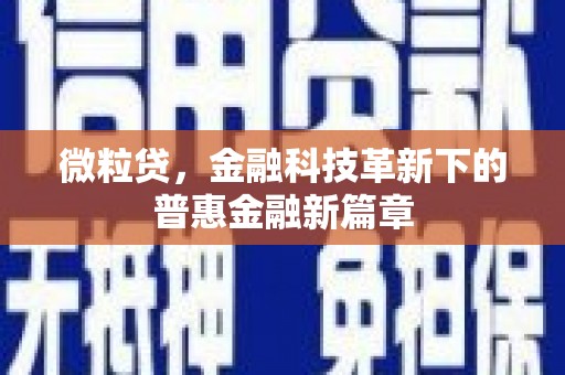 海晏微粒贷，金融科技革新下的普惠金融新篇章