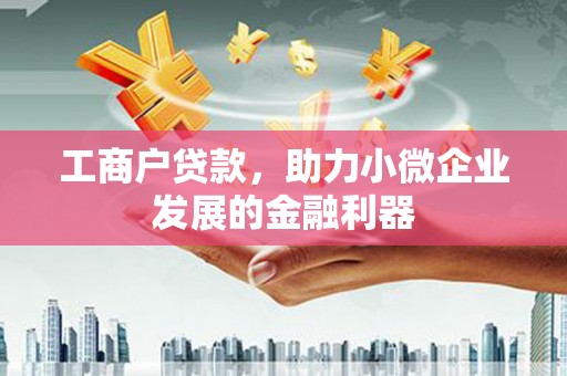海晏工商户贷款，助力小微企业发展的金融利器