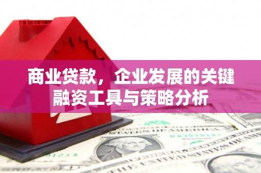 海晏商业贷款，企业发展的关键融资工具与策略分析