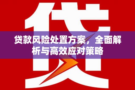 海晏贷款风险处置方案，全面解析与高效应对策略