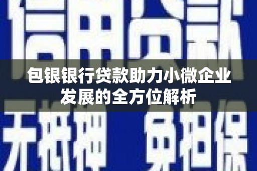 海晏包银银行贷款助力小微企业发展的全方位解析