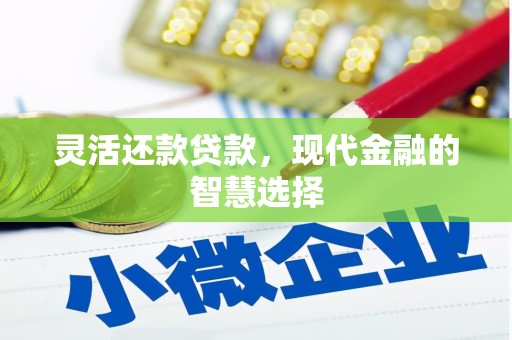 海晏灵活还款贷款，现代金融的智慧选择