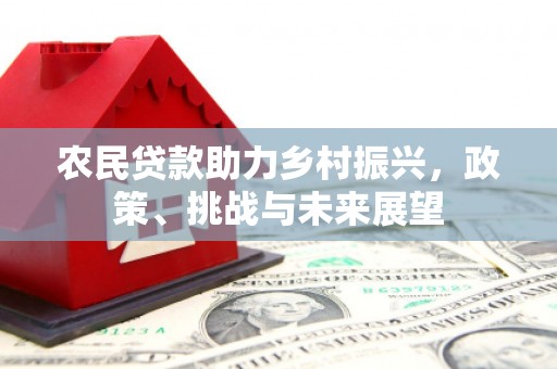 海晏农民贷款助力乡村振兴，政策、挑战与未来展望