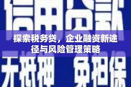 海晏探索税务贷，企业融资新途径与风险管理策略